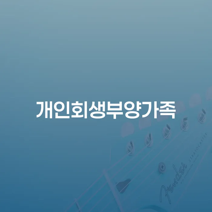 개인회생신청방법 빚갚는 방법 필수는