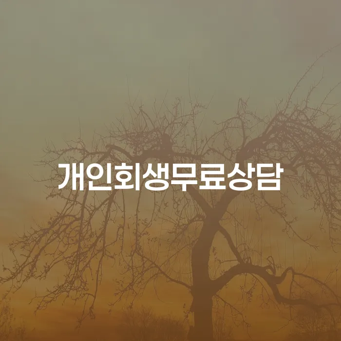 2금융대출 연체 시 개인회생으로 현명하게 성공은