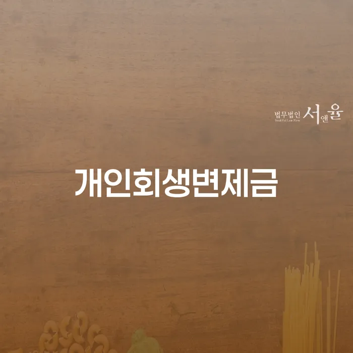 보증서대출 연체 시 개인회생으로 방법 하여야 하는 일