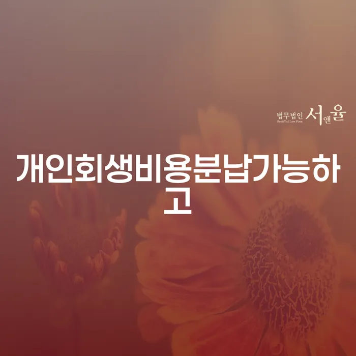 빚 대출 연체 개인회생 선택의 조건