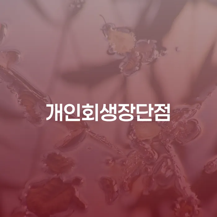 개인회생자 개인회생 제도 해결하기