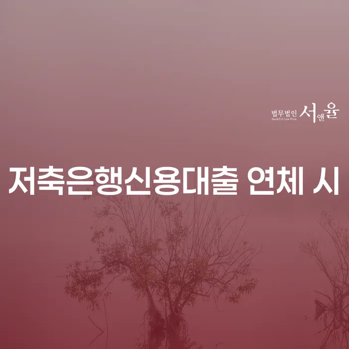 나홀로개인회생 신용회복 잘 하는 변호사