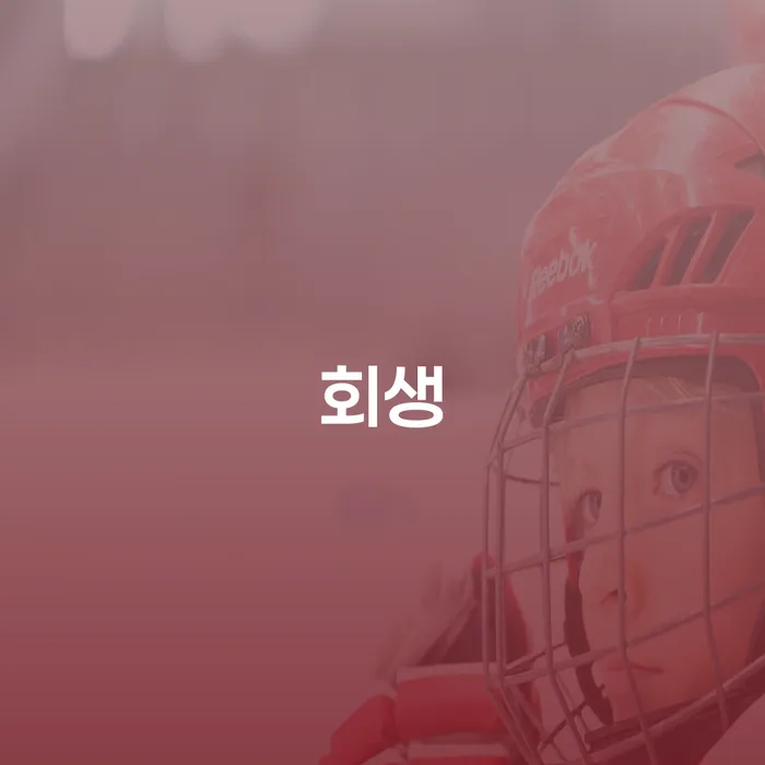 개인회생조건 대출 받은 돈채무조정 검토를 한 다음에는