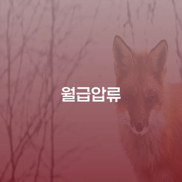 구례군 개인회생파산 개인파산 잘 하는 법무법인