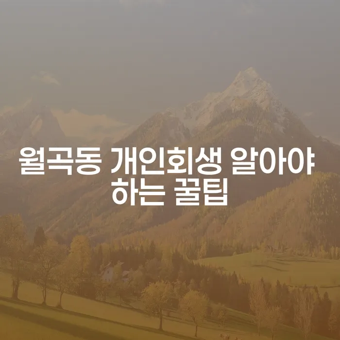 월곡동 개인회생 알아야 하는 꿀팁
