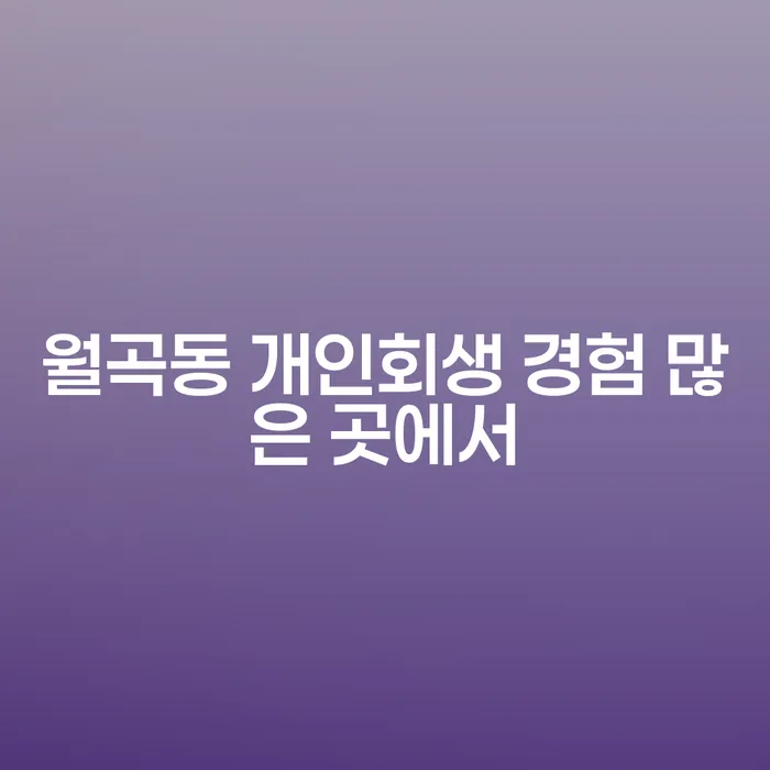 월곡동 개인회생 경험 많은 곳에서