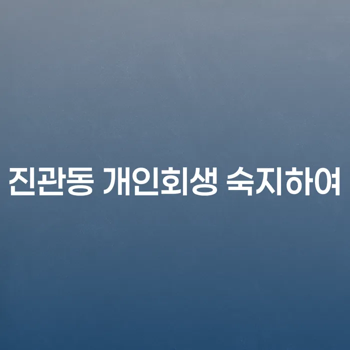 진관동 개인회생 숙지하여