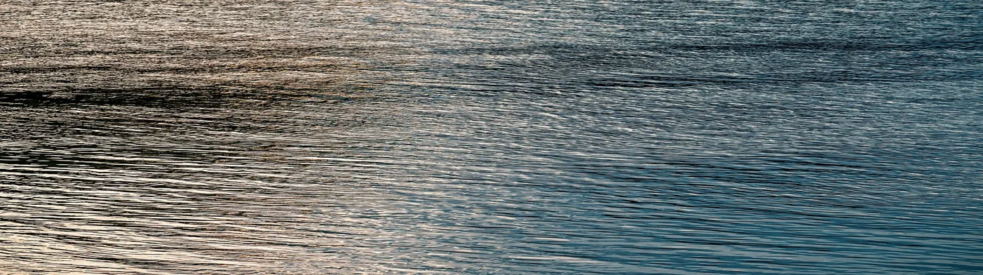 법무법인 서앤율