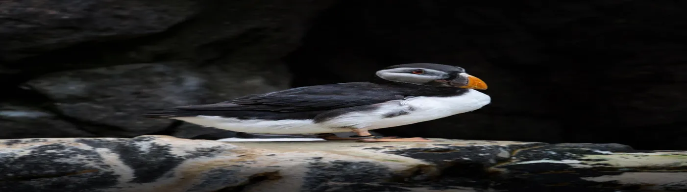 법무법인 서앤율