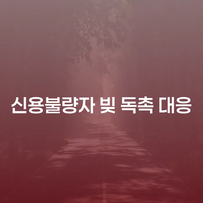 신용불량자 빚 독촉에 어떻게 대응해야 할까요?