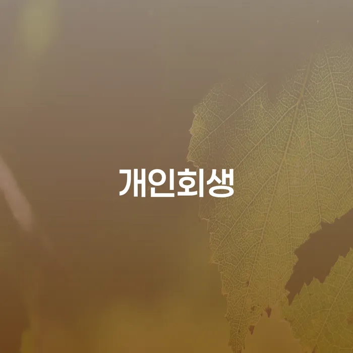 성남개인회생을 통해 채무 해결하는 방법