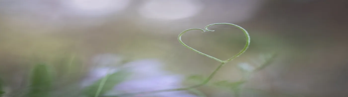 법무법인 서앤율