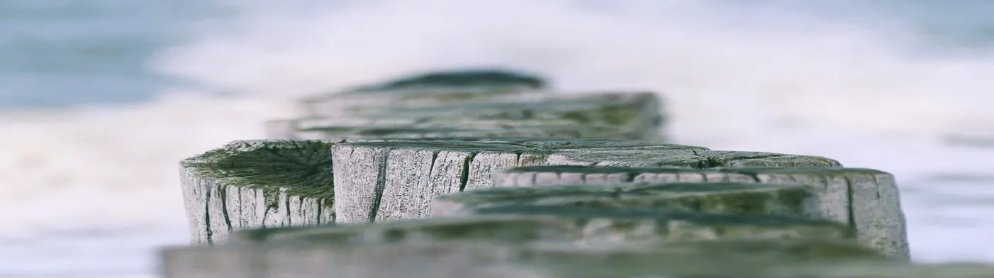 법무법인 서앤율