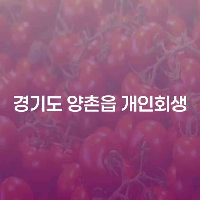 경기도 양촌읍 개인회생: 채무 탈출의 시작점은?