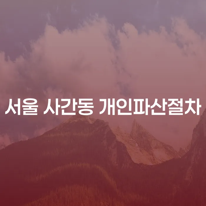 서울 사간동 개인파산절차와 대전개인회생변호사: 어떻게 선택해야 할까요?
